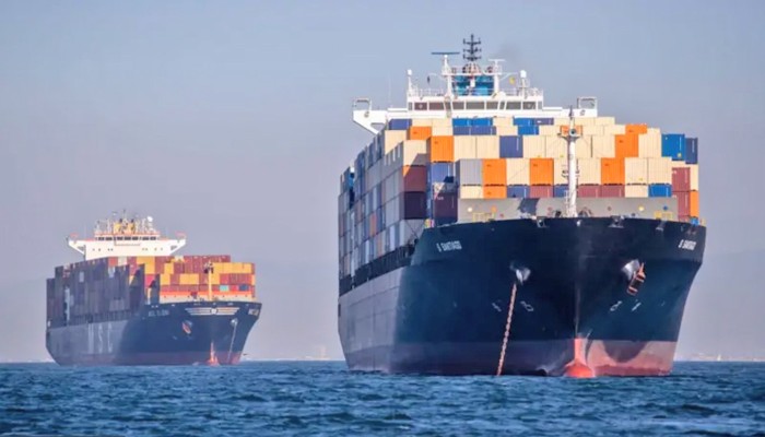 পাকিস্তানের করাচি থেকে আসা জাহাজটির কন্টেইনারে যা যা আছে