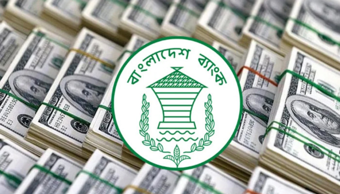 ১৪ দিনে রেমিট্যান্স এসেছে ১৩৮ কোটি ডলার