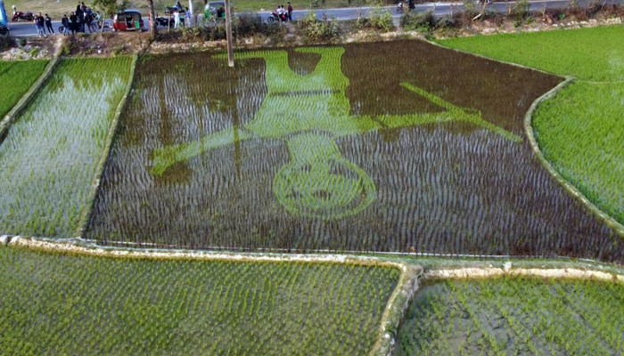 ​শস্যচিত্রে শহীদ আবু সাঈদ