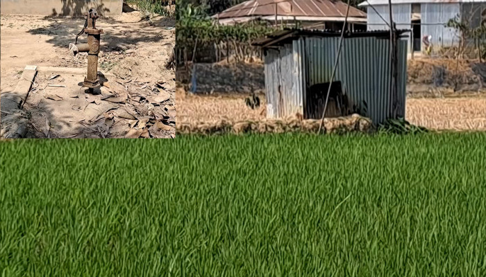 নেত্রকোণায় বিদ্যুৎ কর্মকর্তাকে ঘুষ না দেয়ায় নলকূপের সংযোগ বিচ্ছিন্নের অভিযোগ