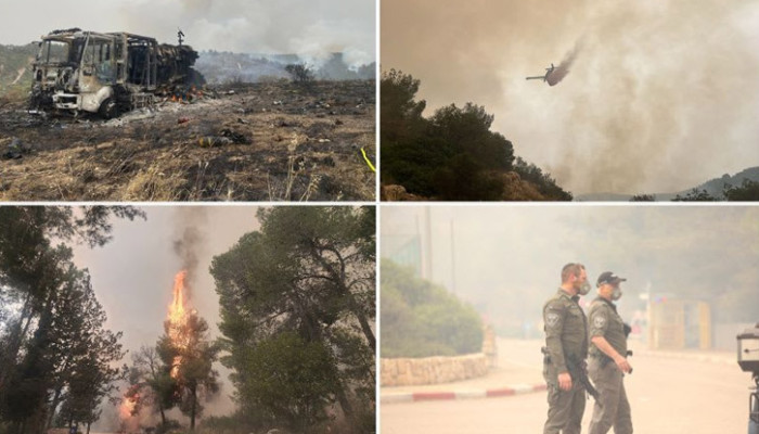 ভয়াবহ দাবানলে পুড়ছে ইসরায়েল