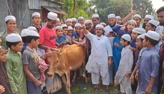 ​আ.লীগ নিষিদ্ধ হওয়ায় গরু জবাই করে খাওয়াচ্ছেন মাদানী