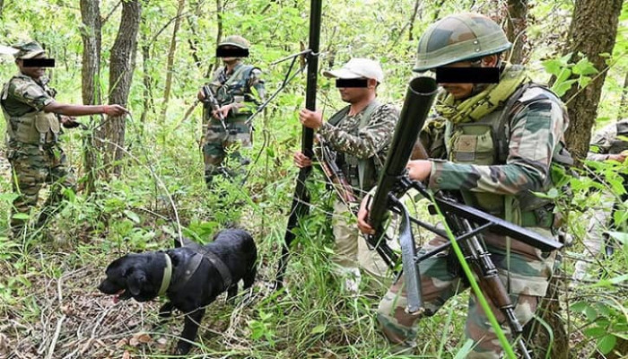 ​ভারতে বন্দুকযুদ্ধে নিহত ১০