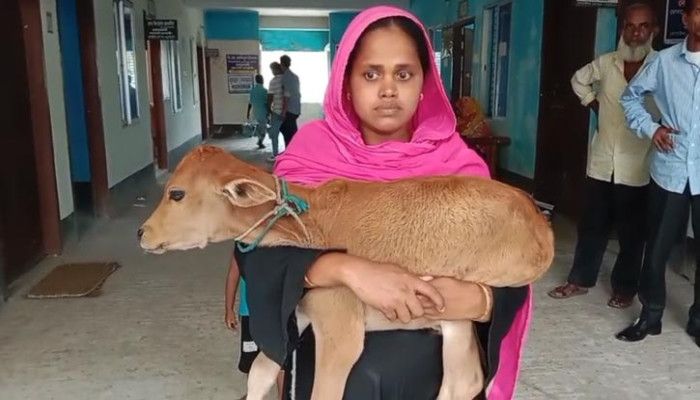 ​গরুও গেলো, দলও গেলো!