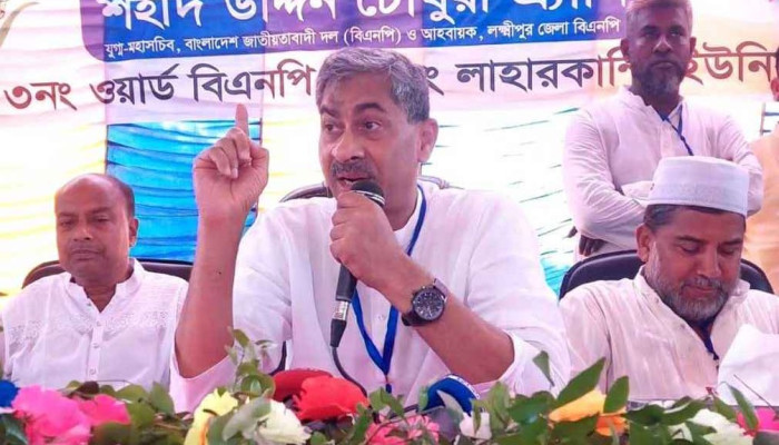 ছাত্রদল নেতা হত্যা ও উপদেষ্টার মাথায় বোতল মারা চক্রান্তের অংশ: এ্যানি