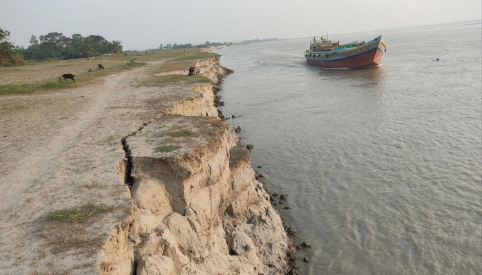 যমুনার তীব্র ভাঙনে বিপর্যস্ত মানুষ, দ্রুত বাঁধ নির্মাণের দাবি