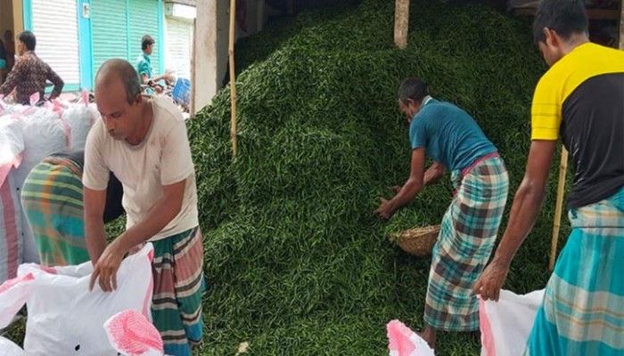 ফলনে বাম্পার , দামে হতাশ