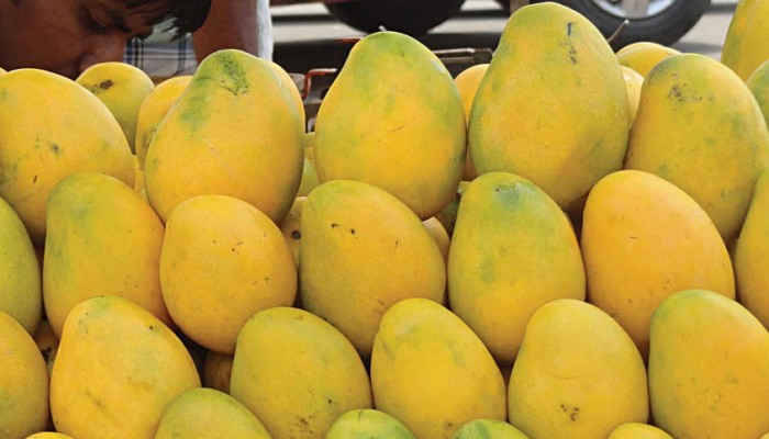 ​এই প্রথম বাংলাদেশের আম যাচ্ছে চীনে