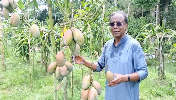 ​এক বাগানে ৫৭ জাতের আম চাষে হেলালের বাজিমাত