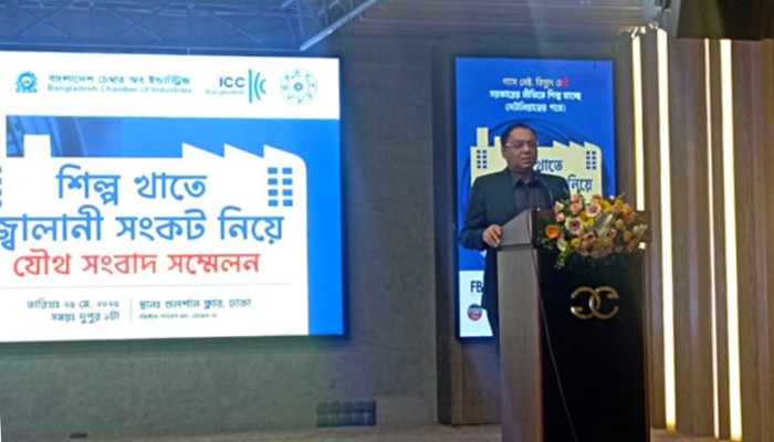 গ্যাস সংকটে বন্ধ হচ্ছে কারখানা, দেয়ালে ঠেকে গেছে পিঠ