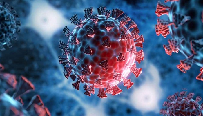 আবারও করোনার হানা, আক্রান্ত হাজারেরও বেশি