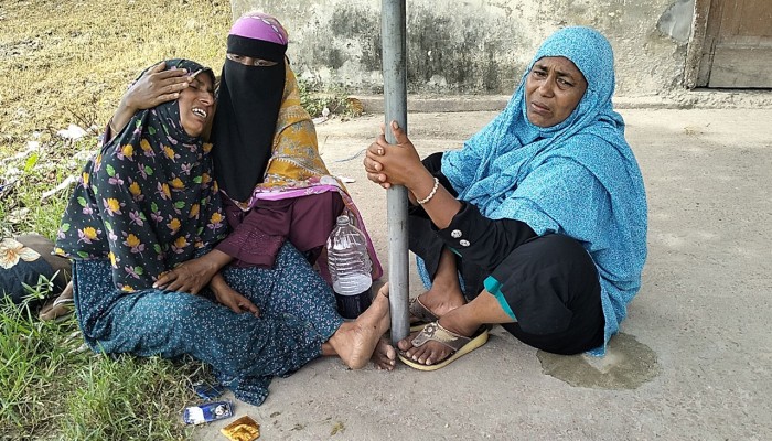 আবারও রাসেলস ভাইপার আতঙ্ক: কুষ্টিয়ায় দুইজনের মৃত্যু