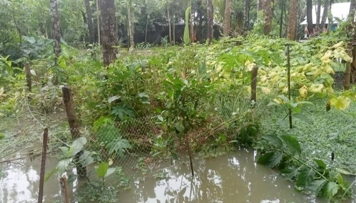 নিম্নাঞ্চল প্লাবিত, ফসলের ক্ষতির শঙ্কা