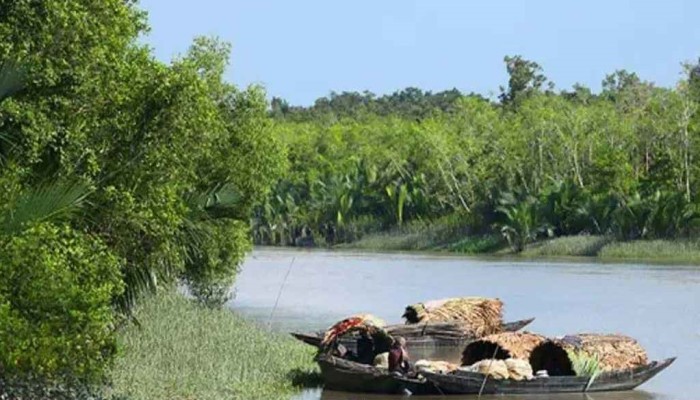 সুন্দরবনে প্রবেশে আজ থেকে তিন মাসের নিষেধাজ্ঞা
