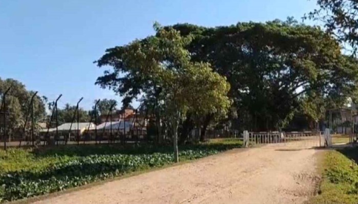 গুলি করে হত্যার পর লাশ নিয়ে গেছে বিএসএফ