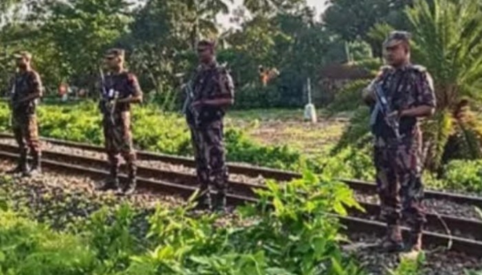 ​চামড়া পাচার ঠেকাতে সীমান্তে নজরদারি বাড়িয়েছে বিজিবি