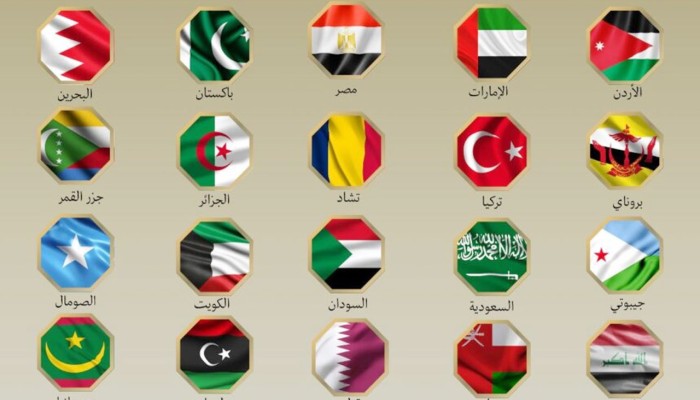 ইরানে ইসরায়েলি হামলার নিন্দা জানাল মিসরসহ ২১ মুসলিম দেশ