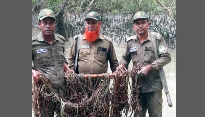 ​ফের সুন্দরবন থেকে হরিণ শিকারের ফাঁদ জব্দ