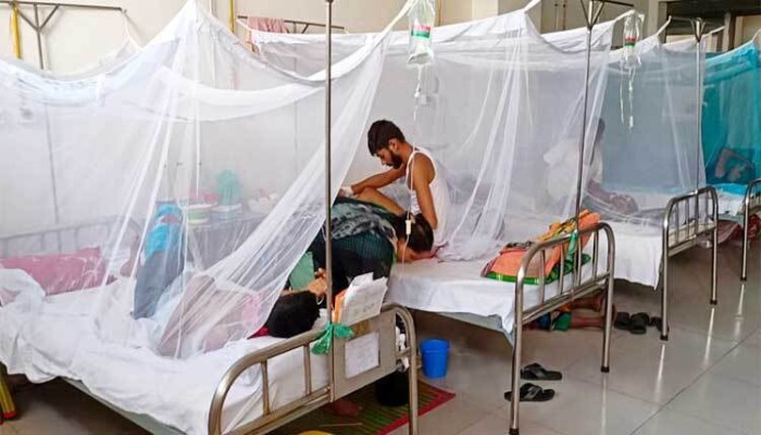 কুমিল্লায় ডেঙ্গুতে ৩ জনের মৃত্যু
