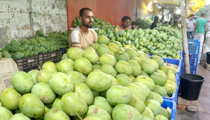 রঙ ভাল না হওয়ায় বিদেশে যায়নি বাঘার আম, মাথায় হাত চাষিদের