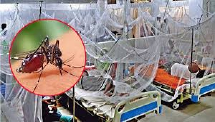 ​ভয়ংকর রূপ নিচ্ছে ডেঙ্গু: গত ২৪ ঘণ্টায় ডেঙ্গুতে আক্রান্ত ৩১৭