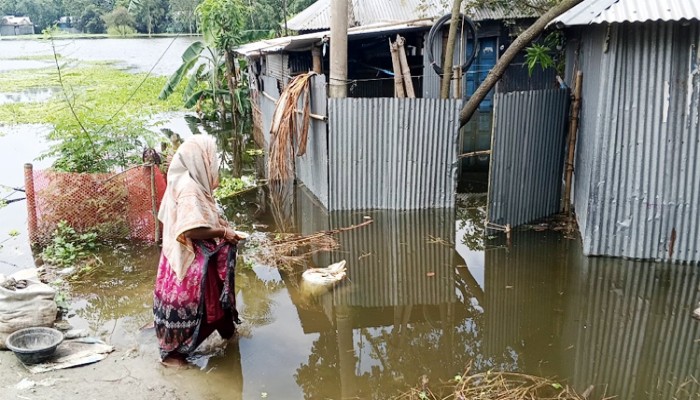 ​তিস্তায় কমছে পানি, স্বাভাবিক জীবনে ফিরছে পানিবন্দি মানুষ