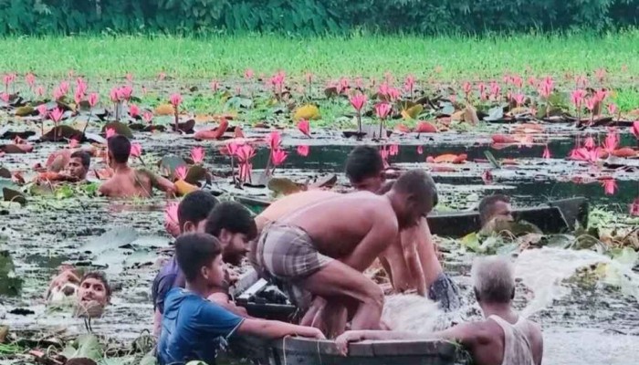 ​শাপলা তুলতে গিয়ে পানিতে ডুবে দুই বন্ধুর মর্মান্তিক মৃত্যু