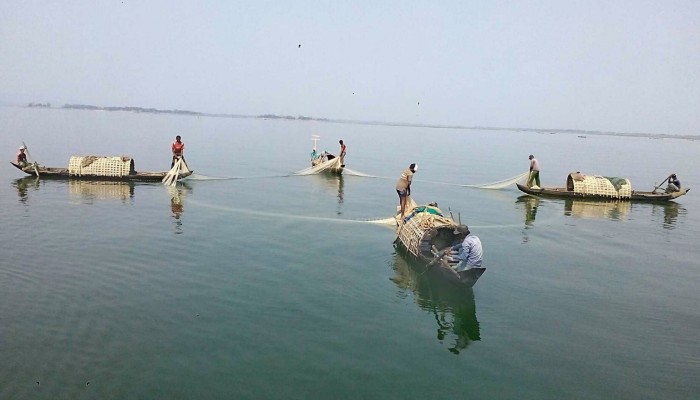 ​কাপ্তাই হ্রদে ফিরেছে কর্মচাঞ্চল্য, মৎস্য আহরণের ধুম