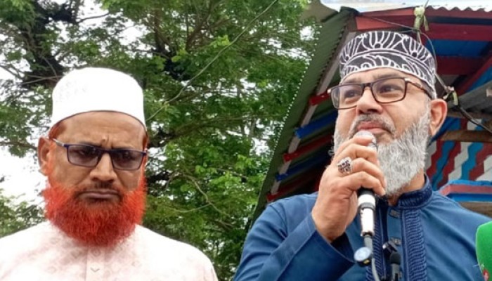 ​আমাদের কিছু বন্ধু আ'লীগের ভাষায় কথা বলছেন : মাসুদ সাঈদী