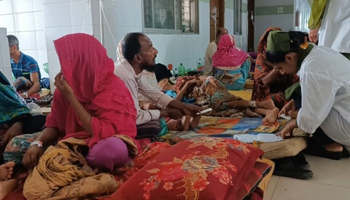 ​বরগুনায় ডেঙ্গু আক্রান্ত নারীর মৃত্যু, মোট প্রাণহানি ৪১