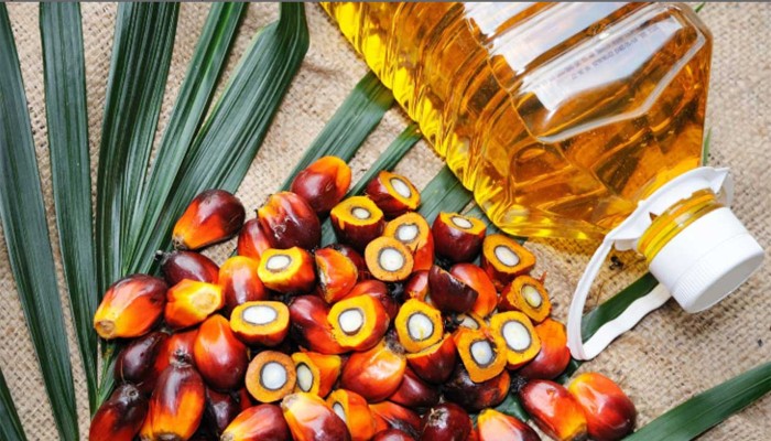 ​লিটারে ১৯ টাকা কমলো পাম অয়েলের দাম