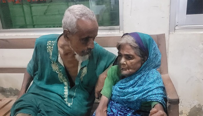 ​খোকা-খুকির শেষ জীবনের গল্প