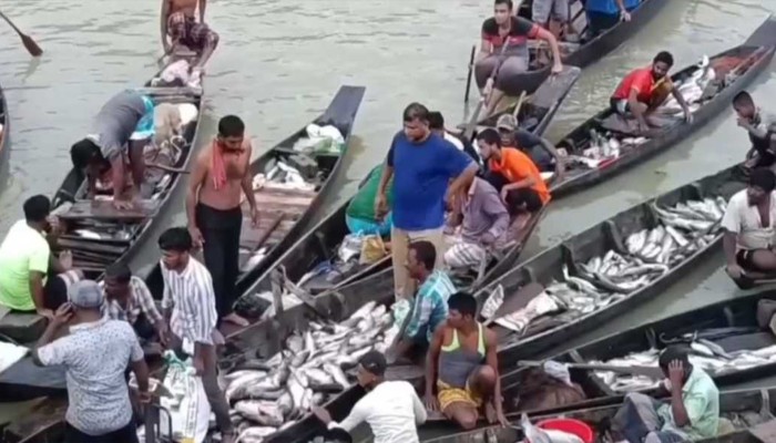 ​কর্ণফুলী নদীতে মাছ ধরার হিড়িক