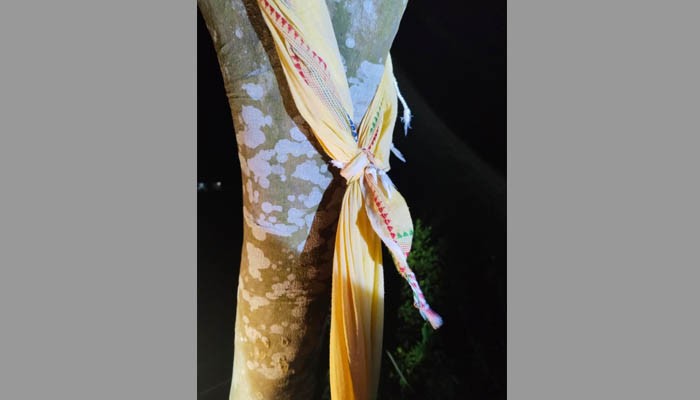 ধর্ষণ শেষে হত্যা করে গাছের সঙ্গে ঝুলিয়ে রাখা হয় মেয়েকে: মায়ের মামলা