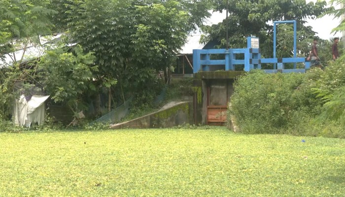 ​জলাবদ্ধতায় হুমকিতে কৃষি