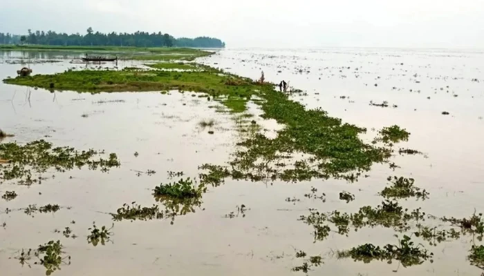 ​বগুড়ায় যমুনার পানি বিপদৎসীমা ছুঁইছুঁই