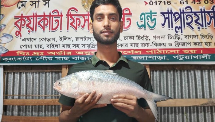 ​একটি ইলিশের দামে মিলছে এক মাসের বাজার!