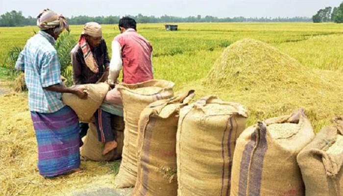 ​বোরো মৌসুমে লক্ষ্যমাত্রার চেয়ে বেশি ধান-চাল সংগ্রহ