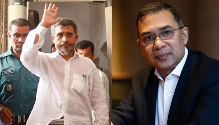 তারেক -বাবরের খালাসের বিরুদ্ধে আপিল শুনানি