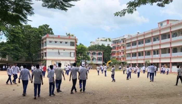 ​শেরপুরে ভিমরুলের কামড়ে ১৬ শিশুশিক্ষার্থী আহত