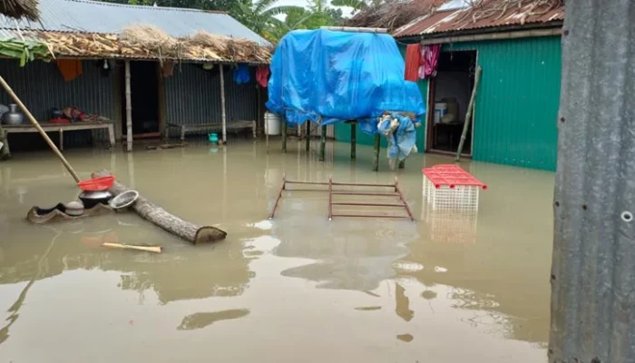 চাঁপাইনবাবগঞ্জে পদ্মায় ভাঙন, আতঙ্কে পানিবন্দি মানুষ