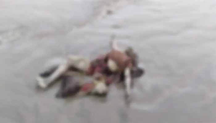 ​গঙ্গামতি সৈকতে ভেসে এলো মৃতদেহ