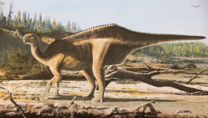 ​১২ কোটি বছর আগের রহস্যময় ডাইনোসরের সন্ধান