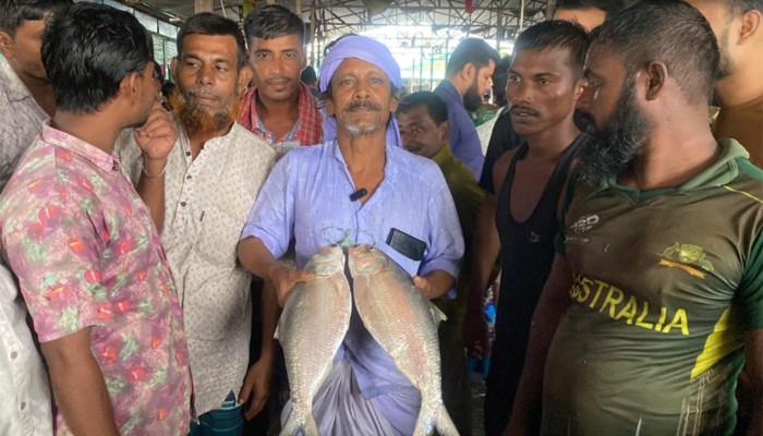 ​দুই ইলিশ বিক্রি সাড়ে ১১ হাজারে