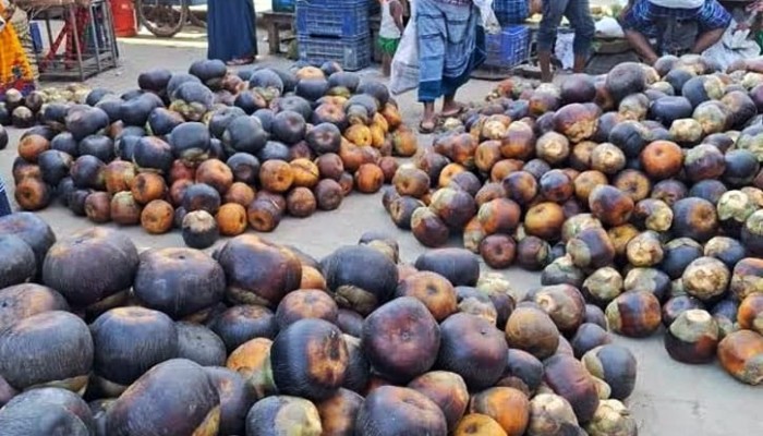 ​কাপাসিয়ায় পাকা তালের জয়যাত্রা