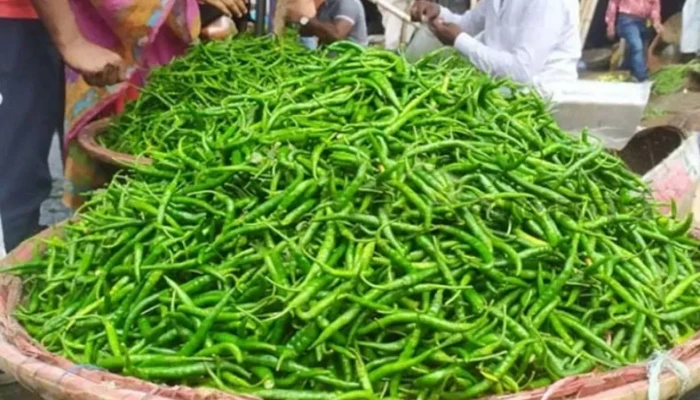 ​এক লাফে কাঁচা মরিচের দাম ৪০ টাকা কমল