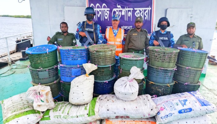​সুন্দরবনে ৮৫০ কেজি অবৈধ কাঁকড়া জব্দ