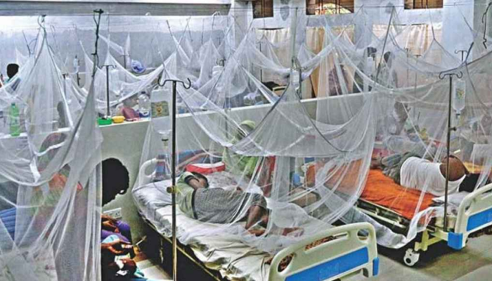 এক সপ্তাহে ডেঙ্গুতে ৮ জনের মৃত্যু
