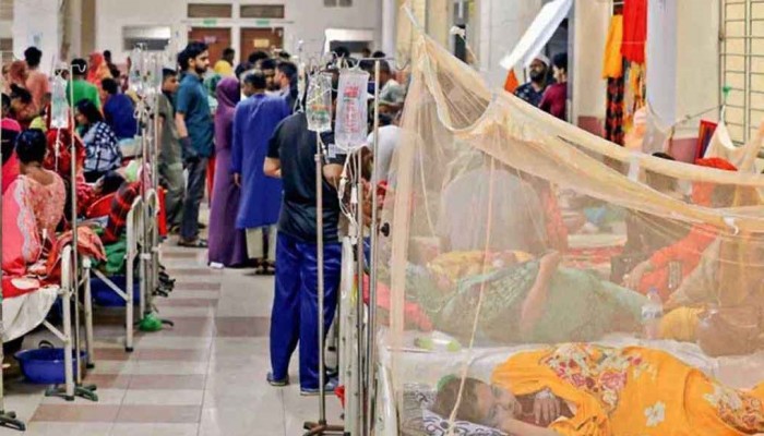 একমাসে ডেঙ্গুতে প্রাণ হারালো ৩৯ জন