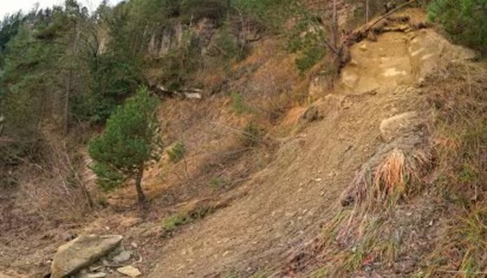 সুদানে ভয়াবহ ভূমিধসে ১ হাজারের বেশি মানুষের মৃত্যু